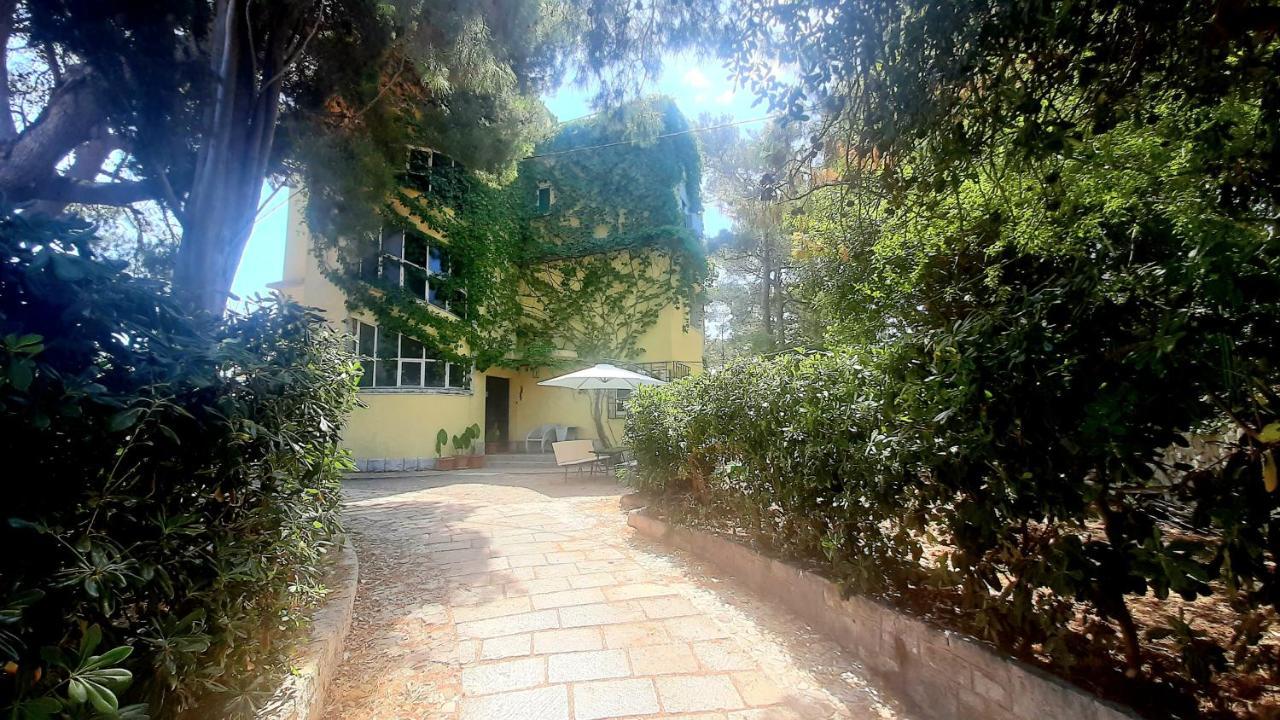 Old Captain'S Apartments - In A Pine Wood By The Sea And Tennis Courts Split Luaran gambar