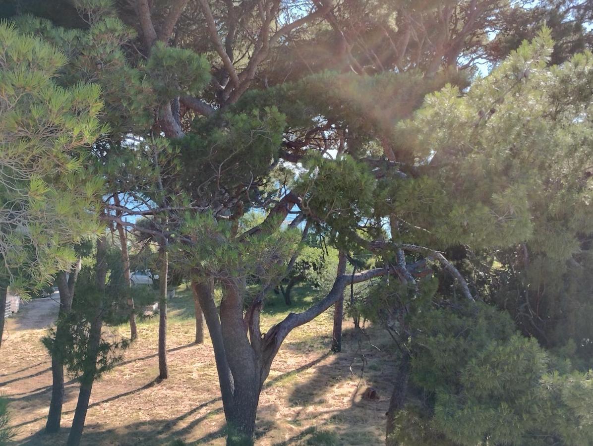 Old Captain'S Apartments - In A Pine Wood By The Sea And Tennis Courts Split Luaran gambar